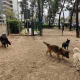 Opportunamente divise in tre zone a seconda della grandezza dell�animale, sono tutte servite da appositi cestini e una � provvista anche di fontanella. L�unico problema � che, oltre ad essere un po� piccole, mancano di ombra e verde
